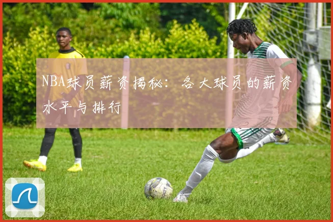 NBA球员薪资揭秘：各大球员的薪资水平与排行