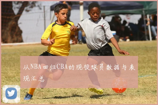 从NBA回归CBA的现役球员数据与表现汇总