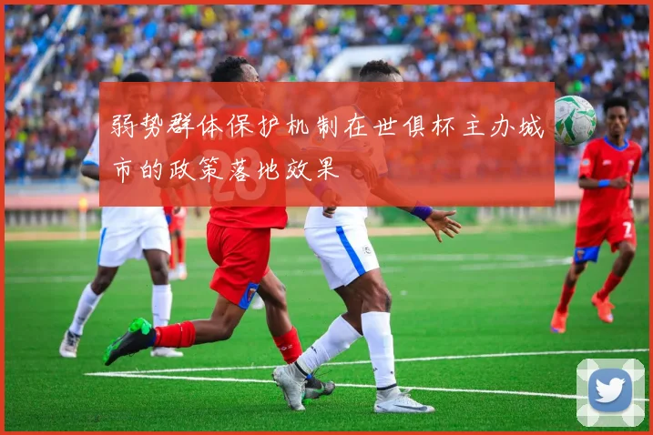 弱势群体保护机制在世俱杯主办城市的政策落地效果