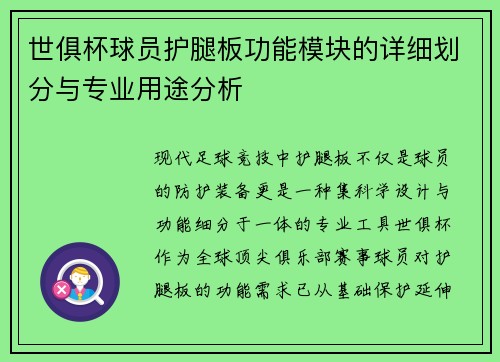 世俱杯球员护腿板功能模块的详细划分与专业用途分析